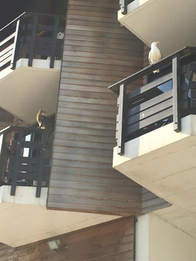 Mon Balcon Face A La Mer - Les Marinas Deauville Exteriér fotografie